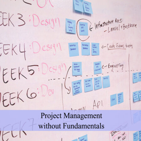 Project Management without Fundamentals