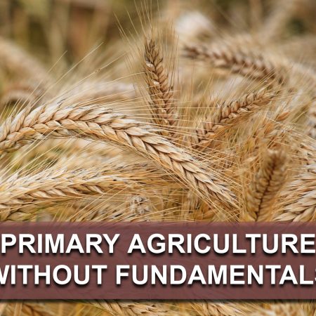 Primary Agriculture without Fundamentals